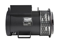 Mecc Alte ECP32-1M/4 (40 кВт)